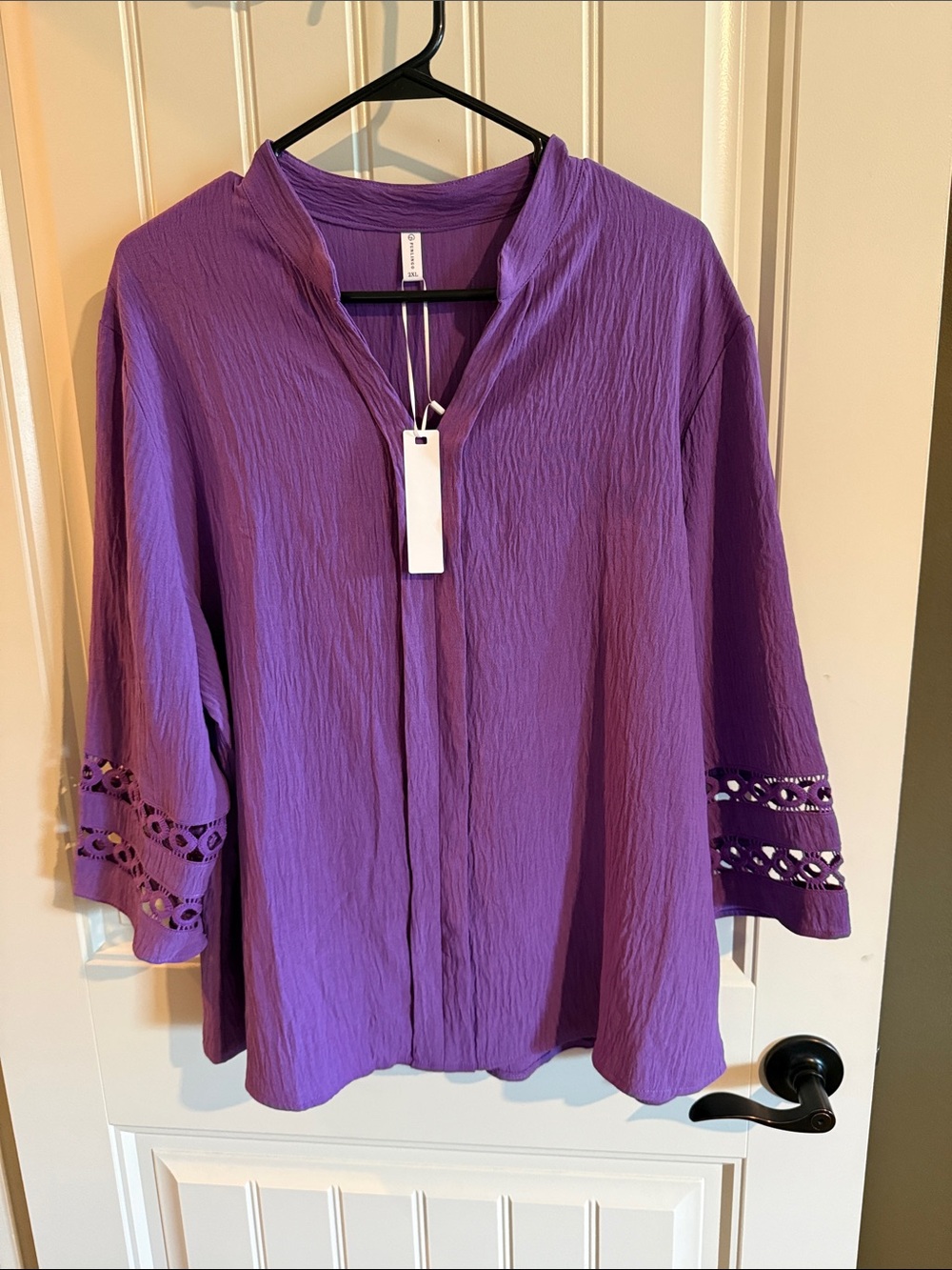 Amazon Purple Crochet-Trim V-Neck Women’s Blouse